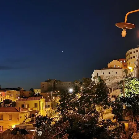 Flamingo's Way * 칼리아리