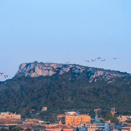Flamingo's Way Apartament Cagliari